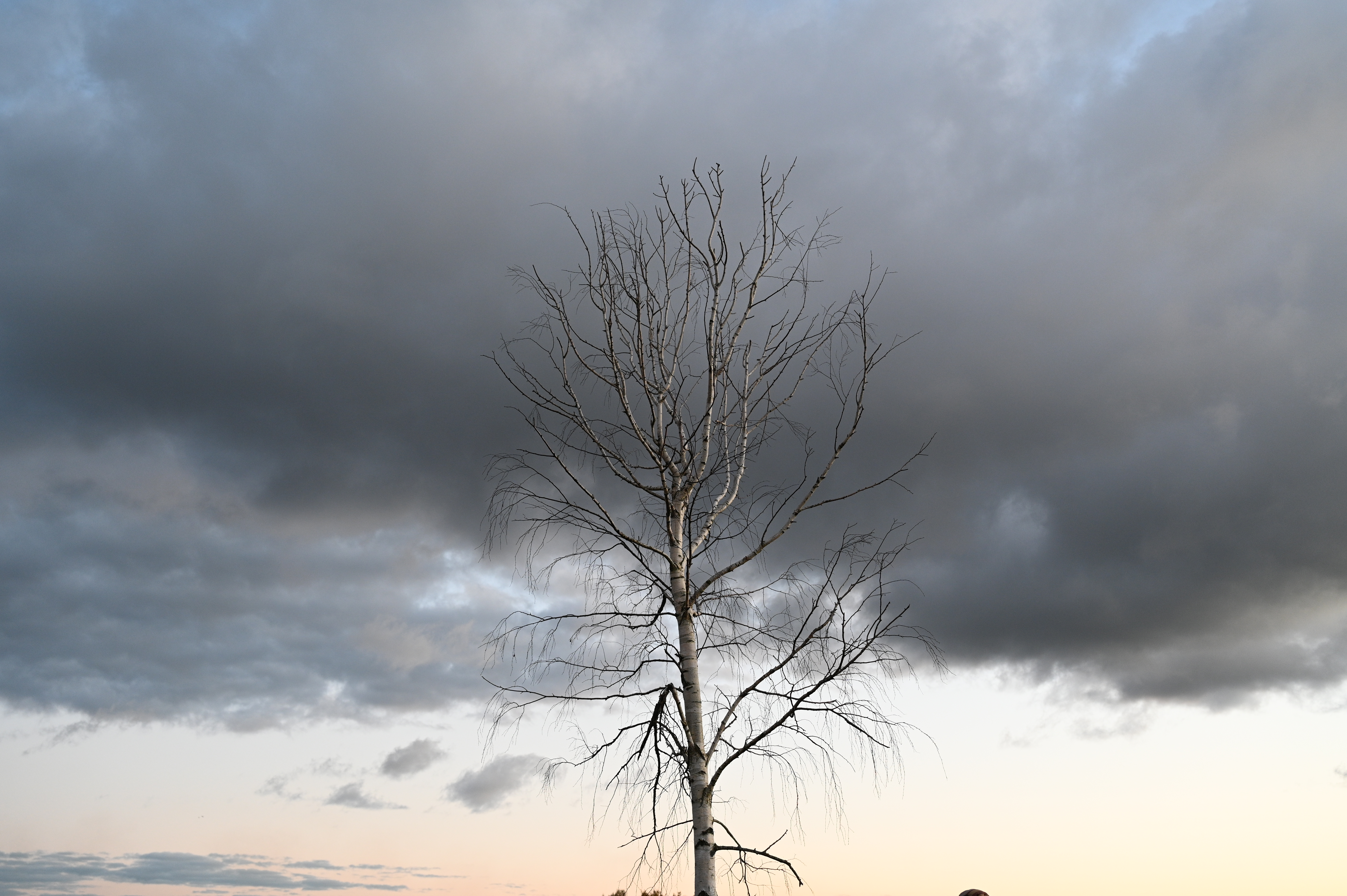 2025/10/18 - walk/DSC_0573.JPG